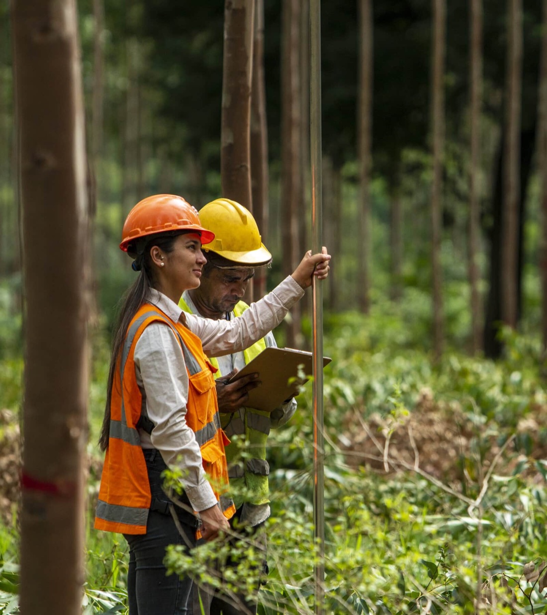 Upscaling private Forest Landscape Restoration (FLR) investments