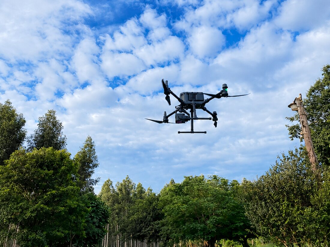 Forest inventories powered by LiDAR
