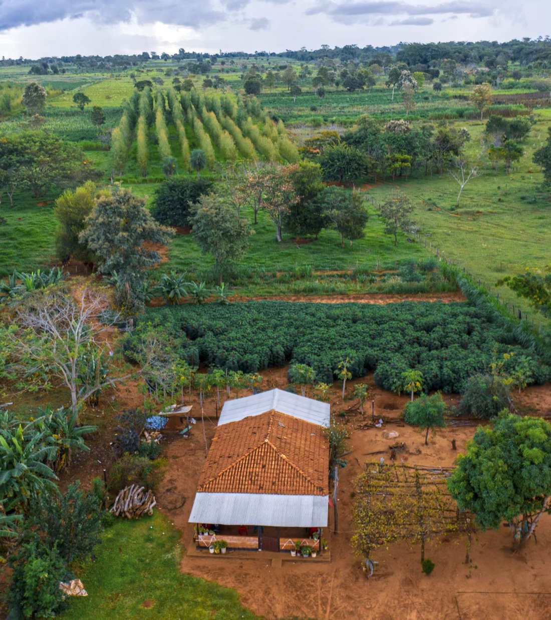Implementing agroforestry systems for more than 1,500 Paraguayan families
