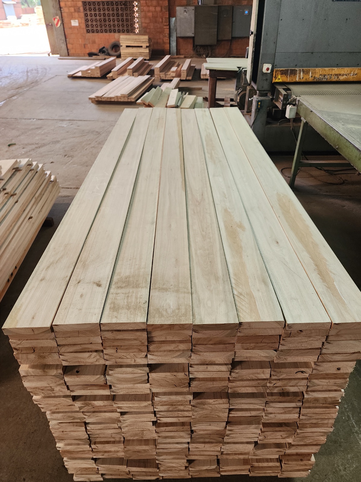 Eucalyptus sawn wood